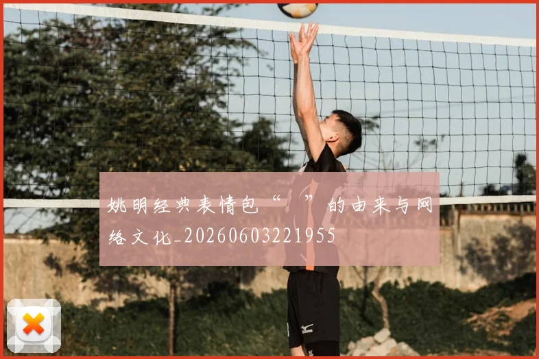 姚明经典表情包“囧”的由来与网络文化_20260603221955