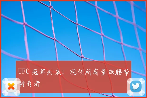 UFC 冠军列表：现任所有量级腰带持有者